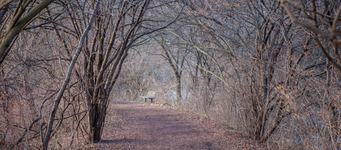 Winter path with bench