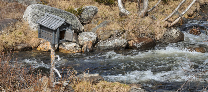 a birdhouse by a rushing stream