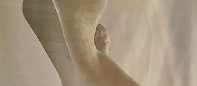 Patrick Stolfo: terracotta, detail